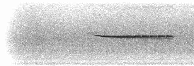Горихвістка водяна - ML285130