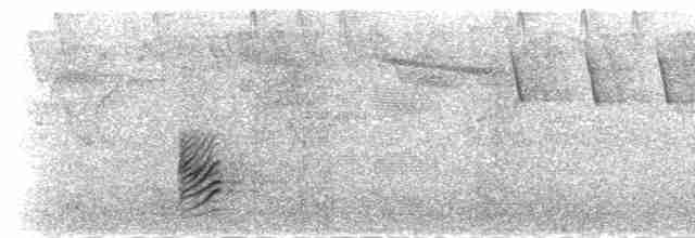 ハジロクロシメ - ML285196