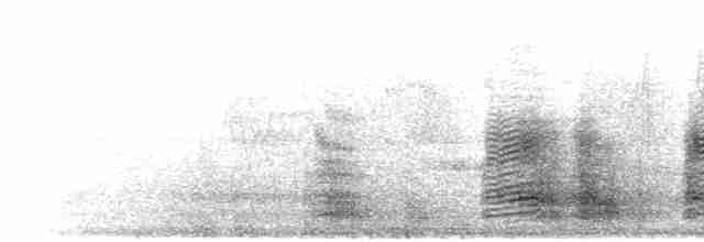 Фазан-вухань сизий - ML285203