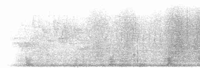 Фазан-вухань сизий - ML285204