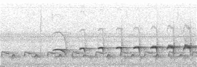 Мурав’янка-прудкокрил рондонійська - ML285215321