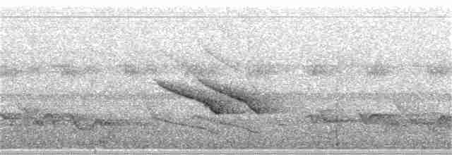 Band-tailed Manakin - ML285216971