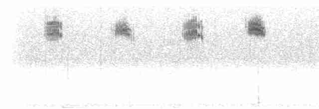 Rougequeue à gorge blanche - ML285218