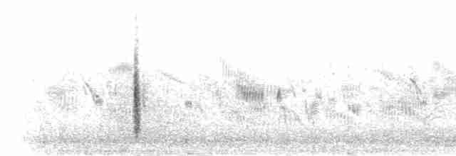סלעית ערבות - ML285263