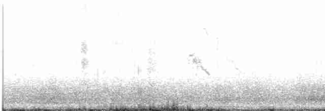Çatal Kuyruklu Martı - ML285264921