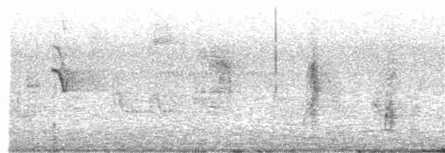 Australian Reed Warbler - ML285314981