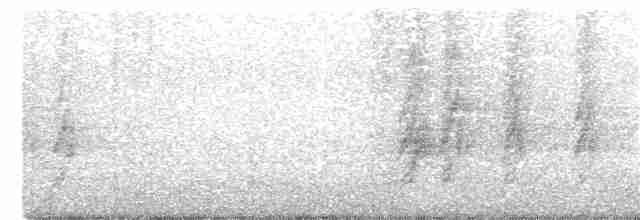 Tayvan Saksağanı - ML285330661