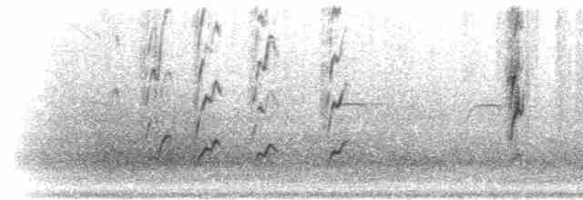 fjellrosenfink (severtzovi gr.) (flekkrosenfink) - ML285360