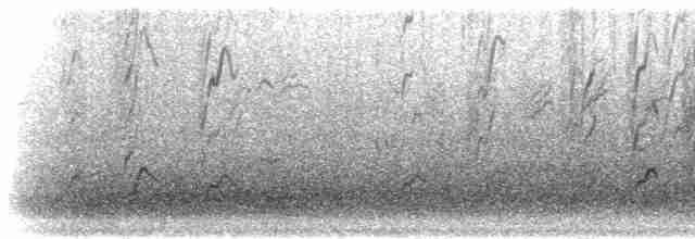 fjellrosenfink (severtzovi gr.) (flekkrosenfink) - ML285361