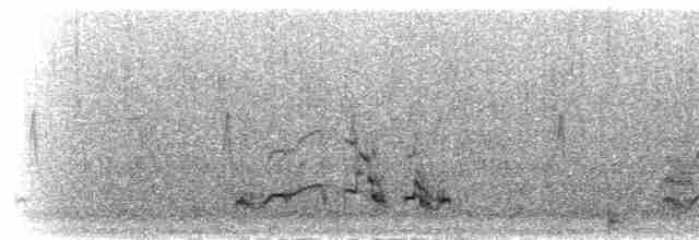 Buff-throated Monal-Partridge - ML285383