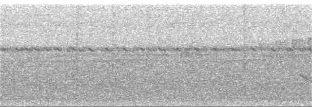 Boyalı Yerçavuşu - ML285385191