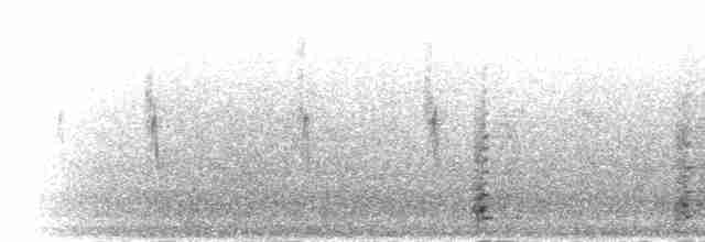 White Eared-Pheasant - ML285392