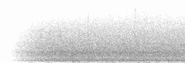Weißflügel-Ohrfasan - ML285393