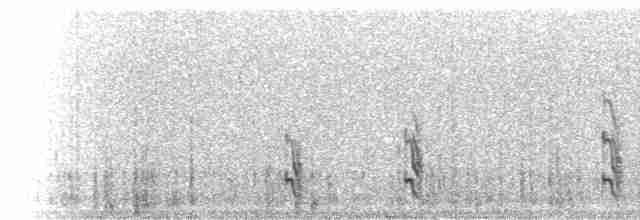 Common Tern - ML285460