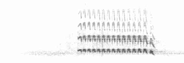hvithaleløpekråke - ML285478
