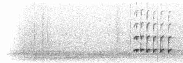 Джиджітка білохвоста - ML285479