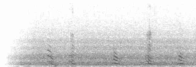Tibetan Eared-Pheasant - ML285536