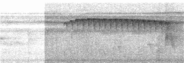 Rufous-backed Stipplethroat (Yasuni) - ML285571711