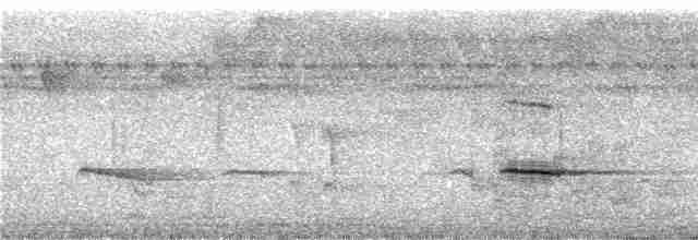 Braunrücken-Ameisenvogel - ML285594