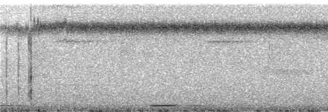 holoubek šedomodrý - ML285598