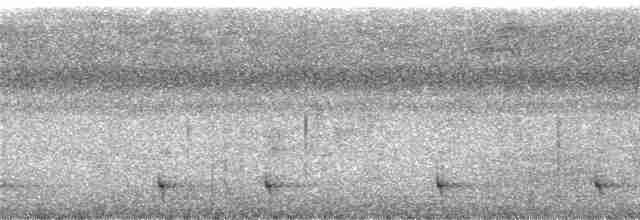 Trogon de Baird - ML285601