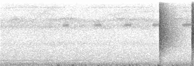 Белобородый манакин - ML285622