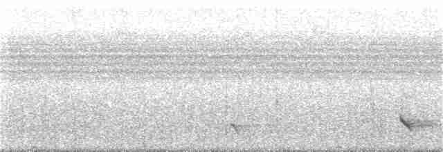 Méliphage de Viti Levu - ML285631751