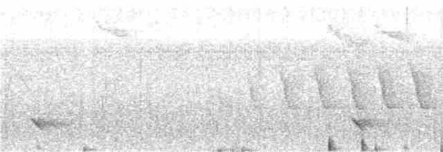 Каштановогорлая миагра - ML285631971