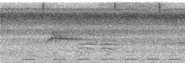 Weißkehl-Ameisendrossel - ML285714