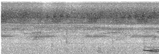 Zigzag Heron - ML285718