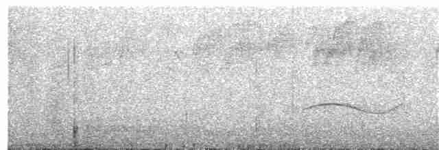 Gray-streaked Honeyeater - ML285725881