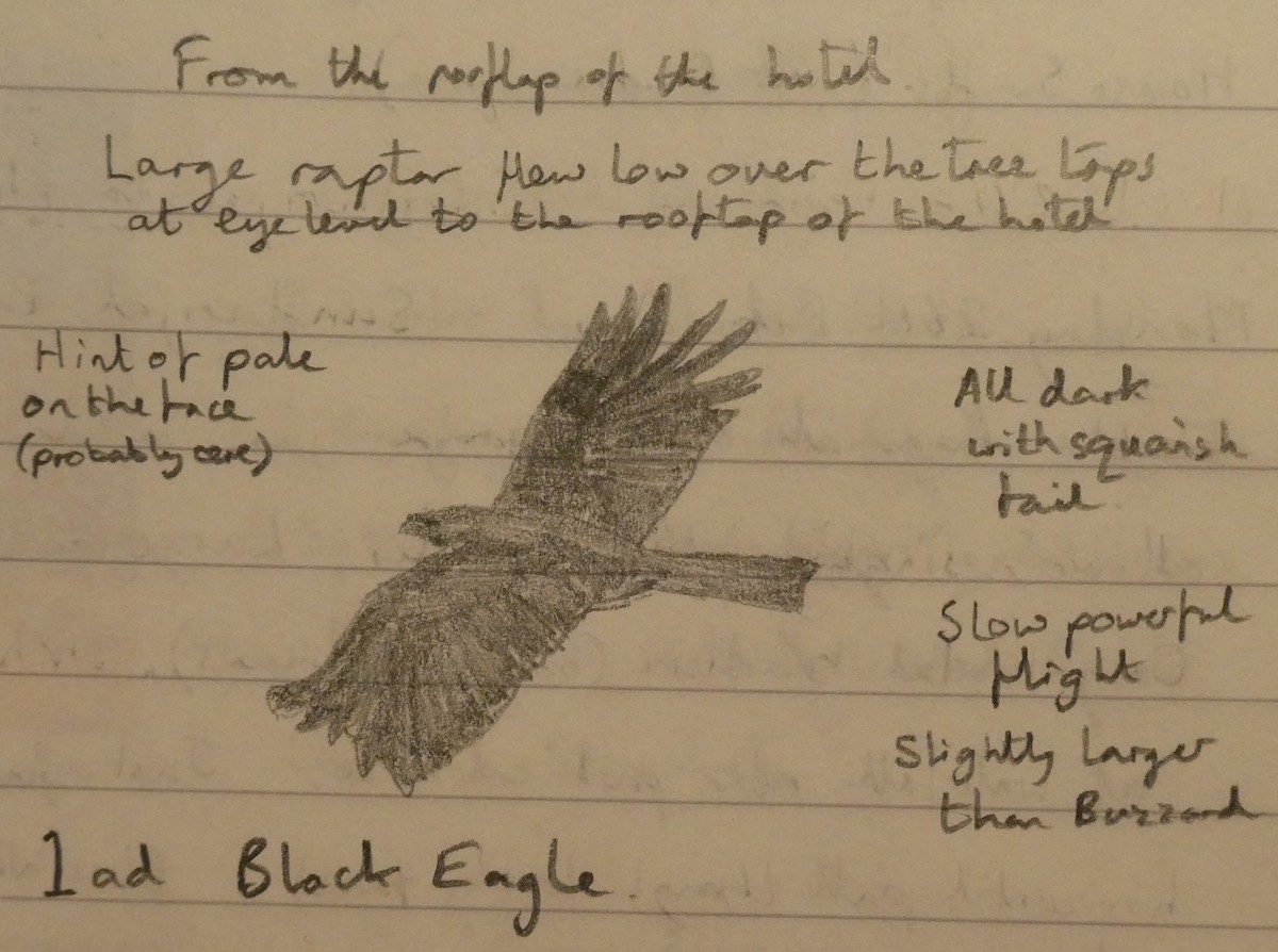 Black Eagle - Andy Parkes