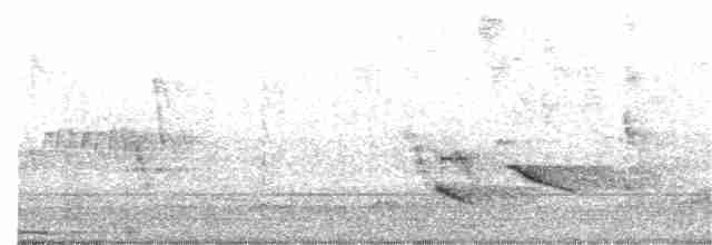 Зернолуск смугастоволий - ML285752501