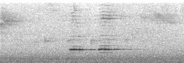 Rostbrust-Ameisendrossel - ML285754