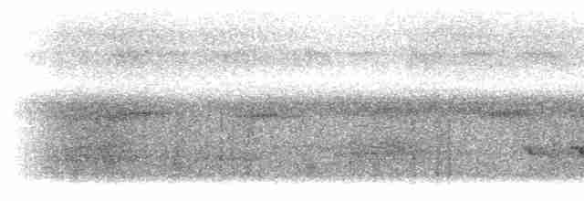 skjeggmaursmett (obscura) - ML285762