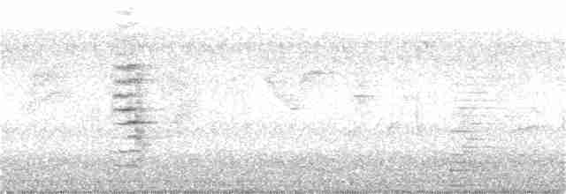 Çatal Kuyruklu Drongo (divaricatus/lugubris) - ML285810091
