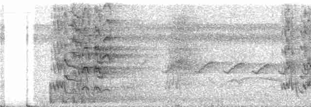 regnbueparakitt (picta) - ML285873
