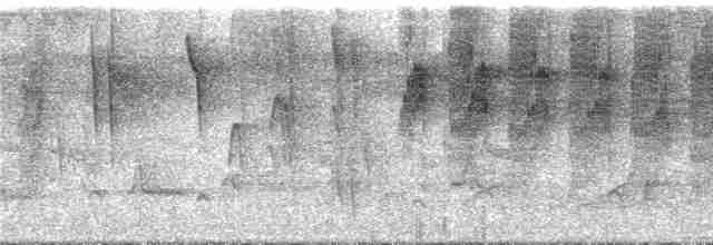 Пестрогорлый алапи (pyrrhonota) - ML285875