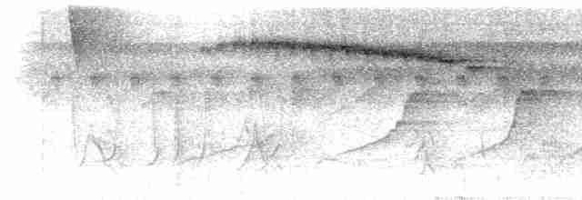 Rufous-backed Stipplethroat (Rio Negro) - ML285881