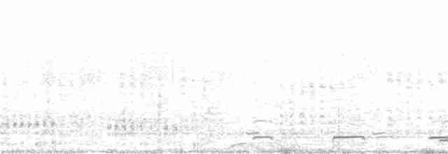 Blutbrust-Bartvogel - ML285955311