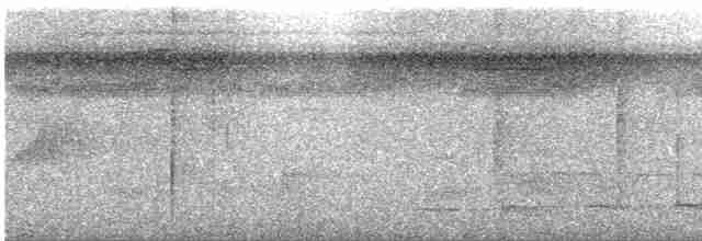 trogon guyanský - ML285962