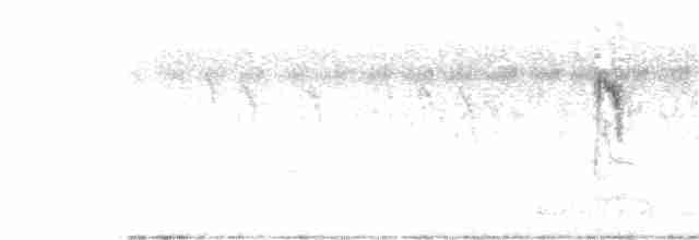Берингийская жёлтая трясогузка - ML285981501