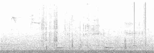Белокрылая цапля - ML285981951