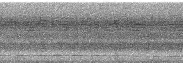 Diard Trogonu - ML286