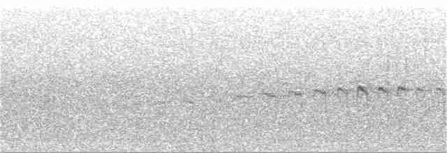 Itatiaia Spinetail - ML286001991