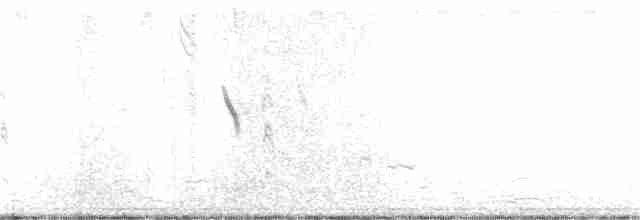 Western Meadowlark - ML286006241