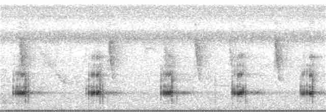 Toucan à carène - ML286019491