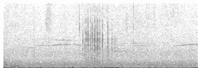 Gray-streaked Honeyeater - ML286069431