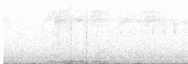 Gray-streaked Honeyeater - ML286069781