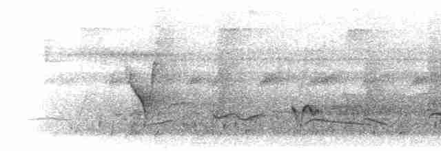 Pale-browed Tinamou - ML286078